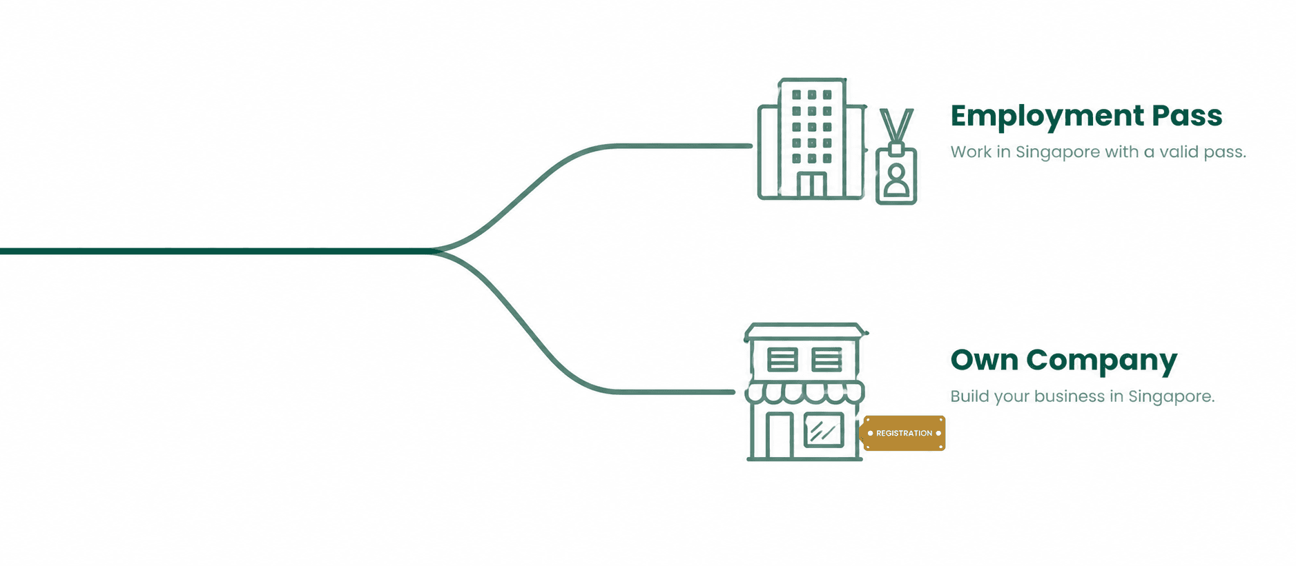 A flat two-tone illustration of a single path forking into two routes: an Employment Pass (office tower with a lanyard badge) and your Own Company (shophouse storefront with a registration plaque), in on-brand Deep Forest, Sage and Ochre.